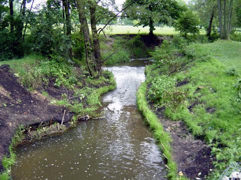 Troy, Michigan - Streambank Stabilization - July 4, 2003 Troy, Michigan - Streambank Stabilization - July 4, 2003